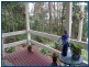 9 Mimosa Road, Springbrook QLD 4213