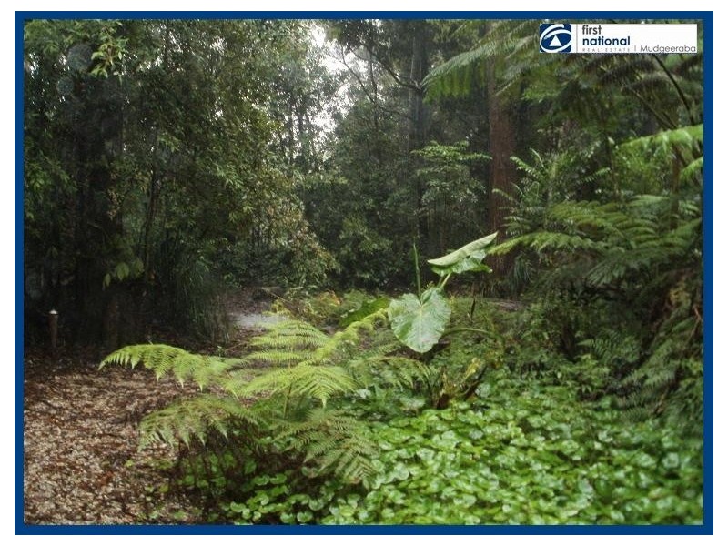 15 Mundora Road, Springbrook QLD 4213