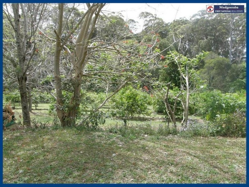 2247 Springbrook Road, Springbrook QLD 4213