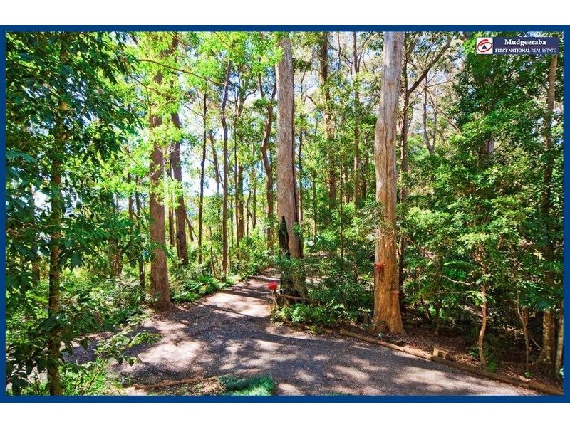 43 Gwongorella Parade, Springbrook QLD 4213