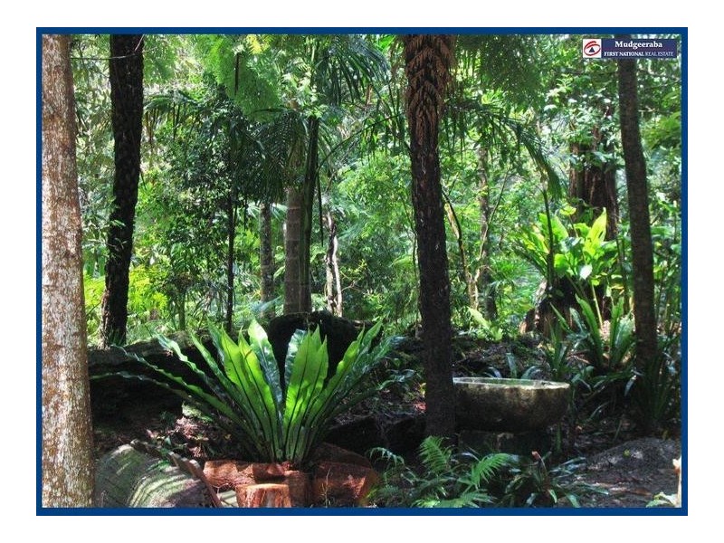 43 Gwongorella Parade, Springbrook QLD 4213