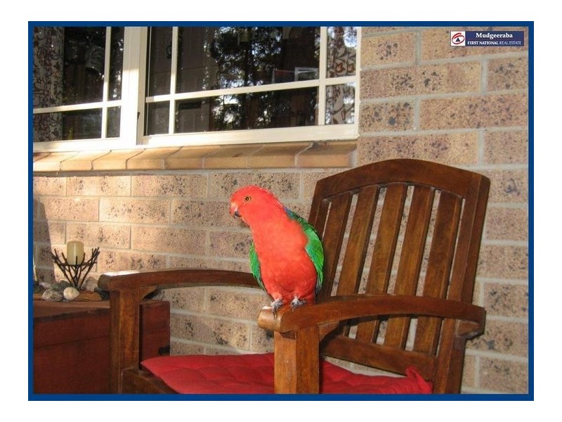 43 Gwongorella Parade, Springbrook QLD 4213