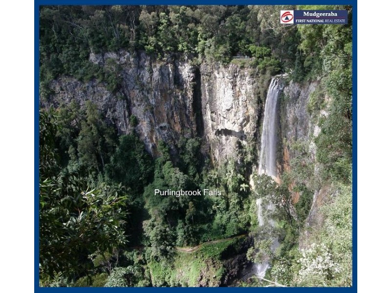 43 Gwongorella Parade, Springbrook QLD 4213