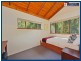 2188 Springbrook Road, Springbrook QLD 4213