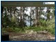 15 Mimosa Road, Springbrook QLD 4213