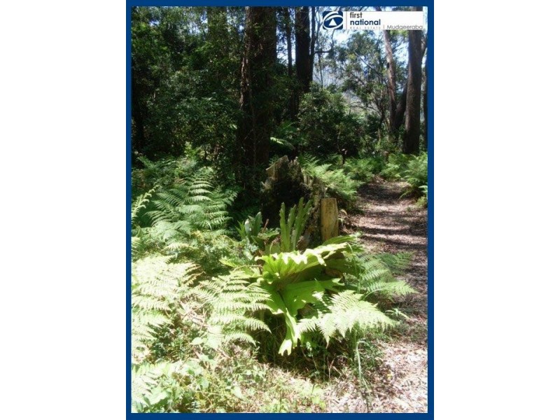 15 Mimosa Road, Springbrook QLD 4213