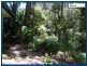 15 Mimosa Road, Springbrook QLD 4213