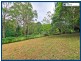 2220 Springbrook Road, Springbrook QLD 4213