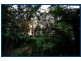35 Gwongorella Parade, Springbrook QLD 4213