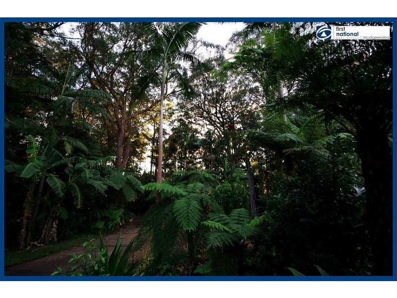35 Gwongorella Parade, Springbrook QLD 4213