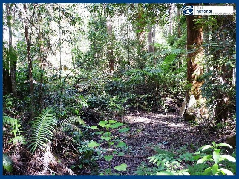 8 & 10 Wattle Grove, Springbrook QLD 4213