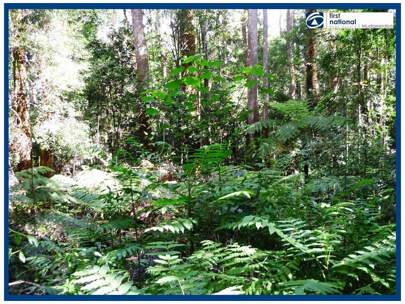 8 & 10 Wattle Grove, Springbrook QLD 4213