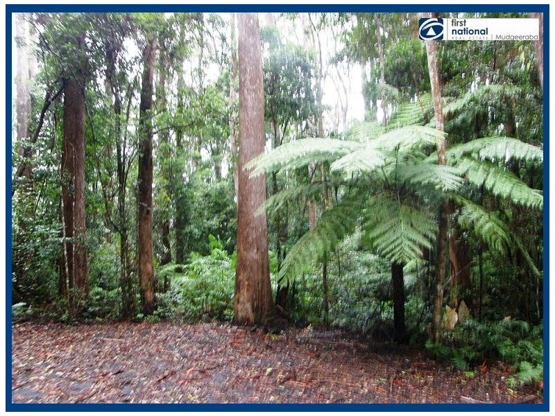 8 & 10 Wattle Grove, Springbrook QLD 4213