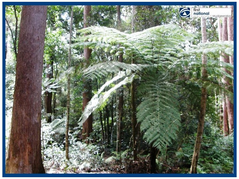 8 & 10 Wattle Grove, Springbrook QLD 4213