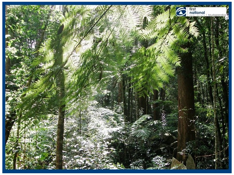 8 & 10 Wattle Grove, Springbrook QLD 4213