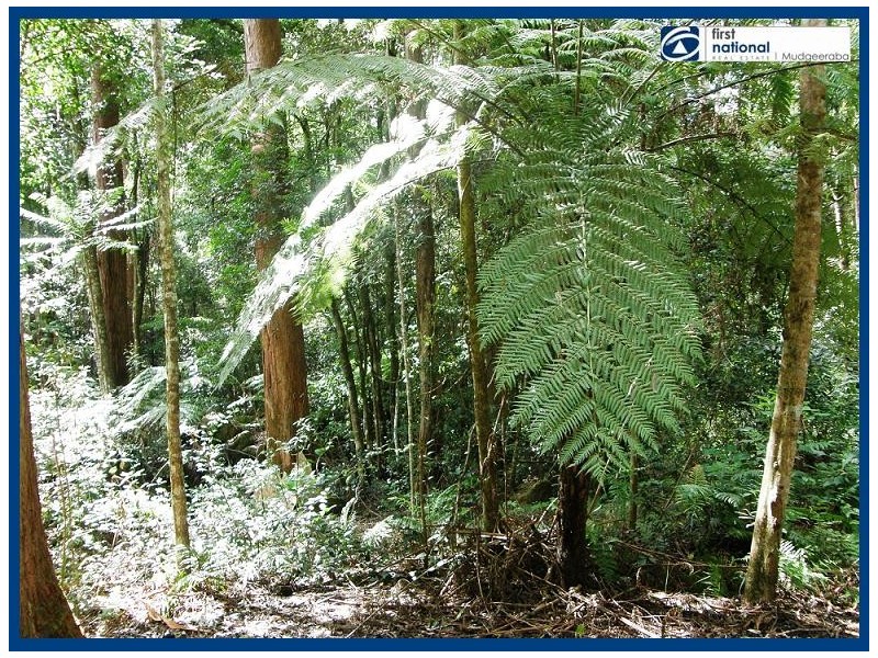 8 & 10 Wattle Grove, Springbrook QLD 4213