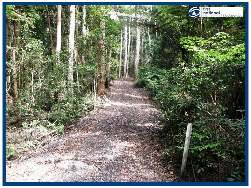 8 & 10 Wattle Grove, Springbrook QLD 4213