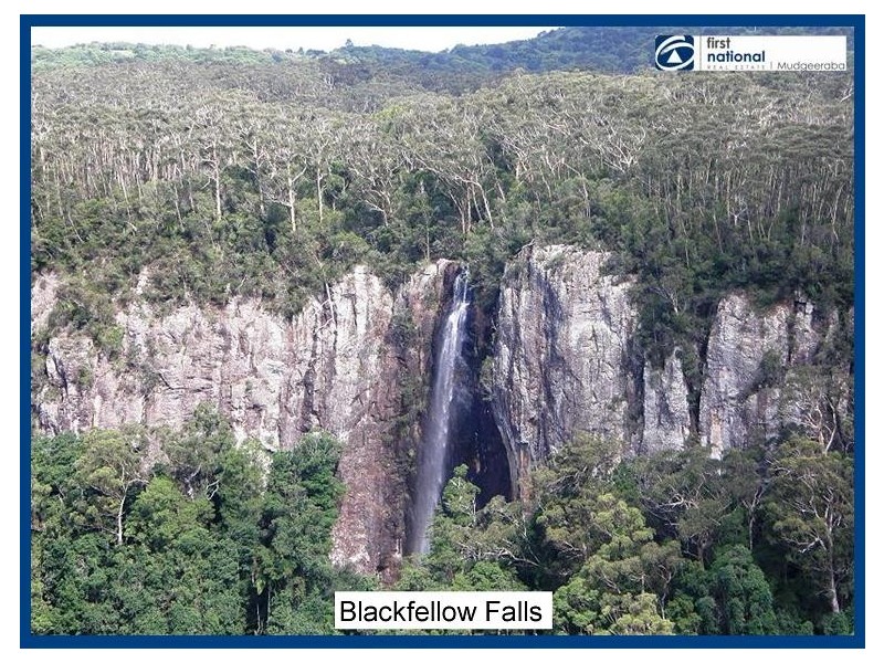 8 & 10 Wattle Grove, Springbrook QLD 4213