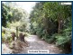 2215 Springbrook Road, Springbrook QLD 4213