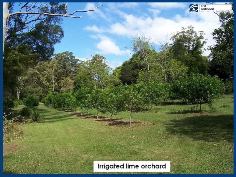 2215 Springbrook Road, Springbrook QLD 4213