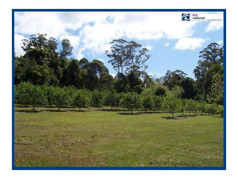2215 Springbrook Road, Springbrook QLD 4213
