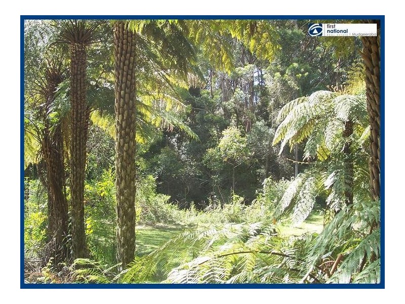2215 Springbrook Road, Springbrook QLD 4213