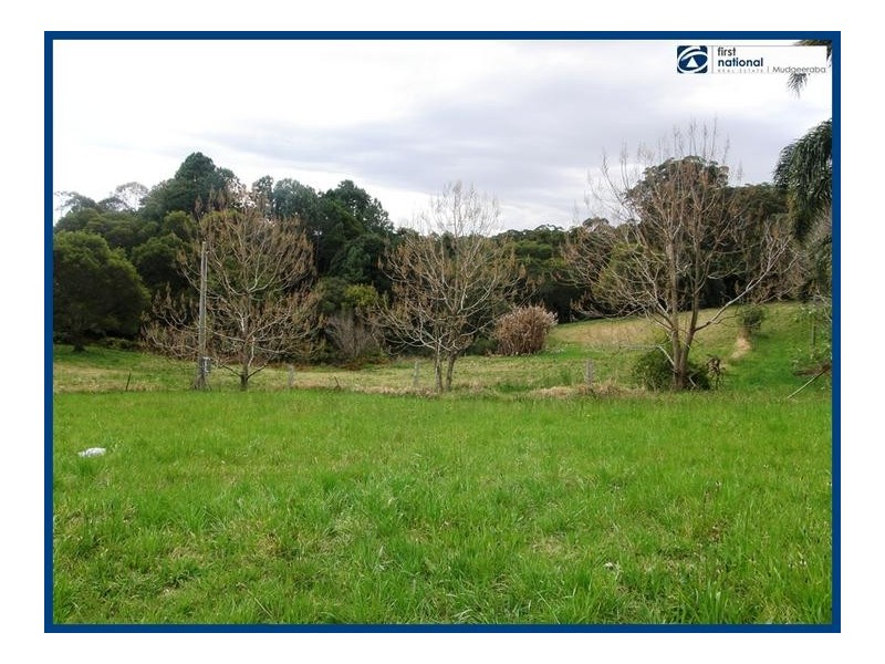 Lot 64, 14 Forestry Road, Springbrook QLD 4213