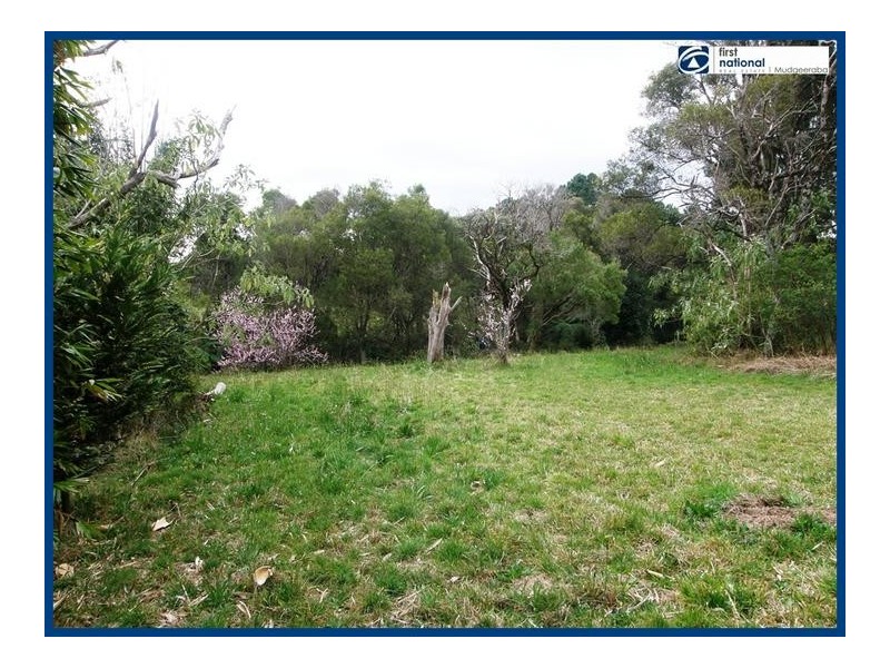 Lot 64, 14 Forestry Road, Springbrook QLD 4213