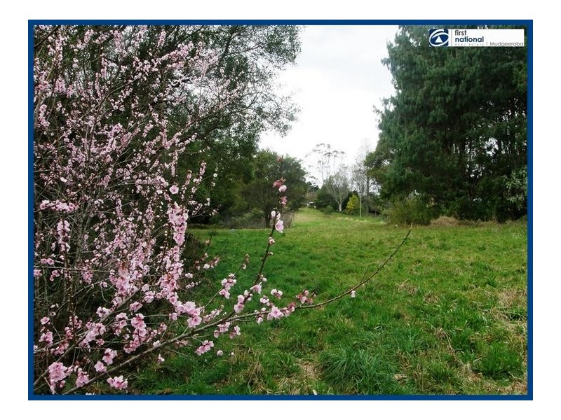 Lot 64, 14 Forestry Road, Springbrook QLD 4213