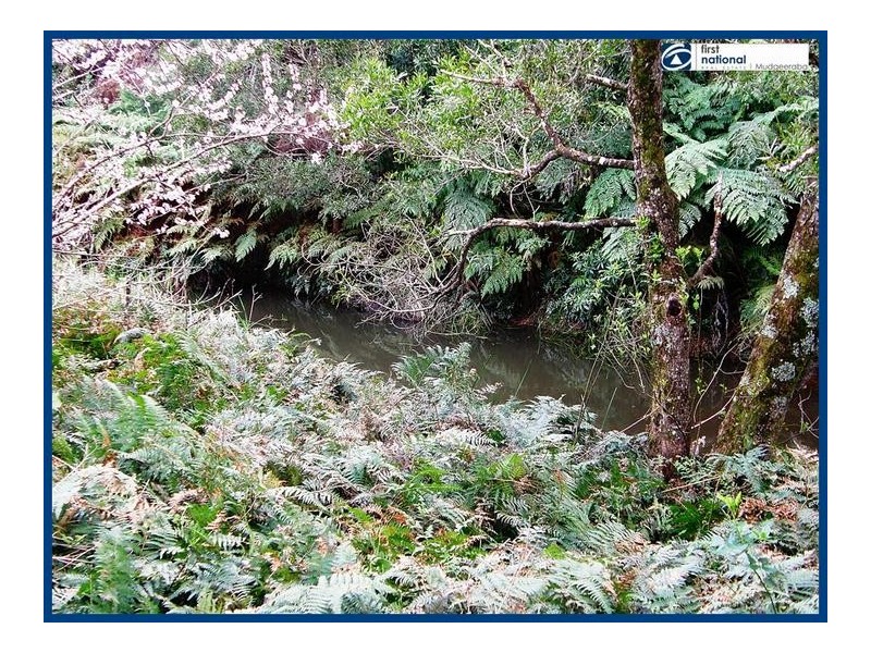 Lot 64, 14 Forestry Road, Springbrook QLD 4213