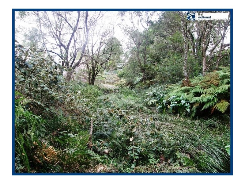 Lot 64, 14 Forestry Road, Springbrook QLD 4213