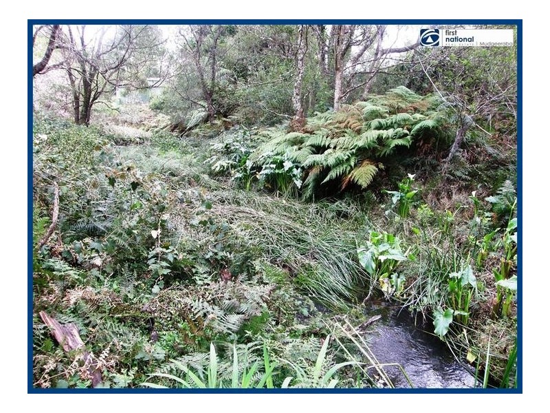 Lot 64, 14 Forestry Road, Springbrook QLD 4213