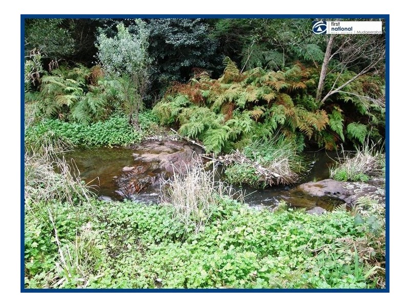 Lot 64, 14 Forestry Road, Springbrook QLD 4213