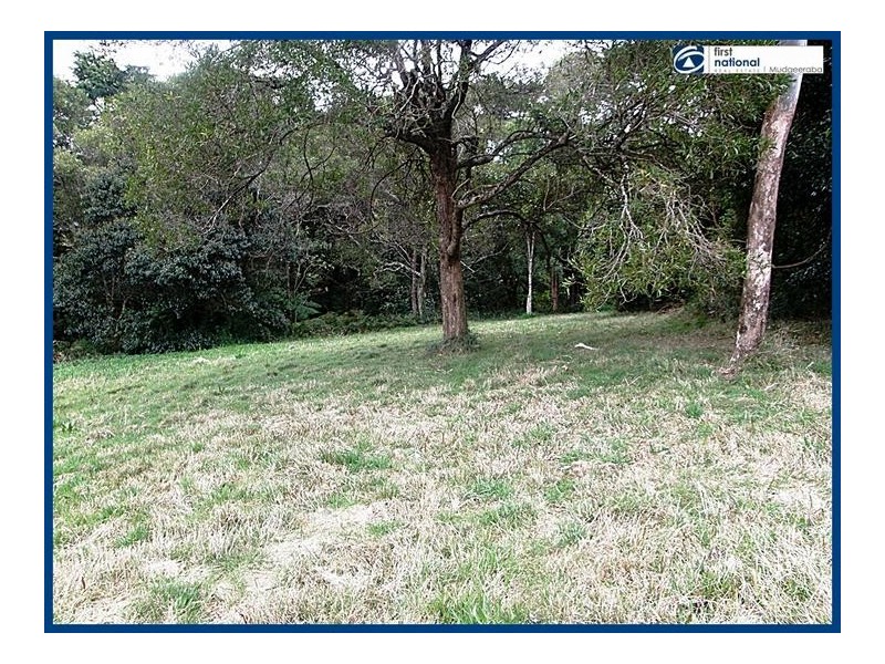 Lot 64, 14 Forestry Road, Springbrook QLD 4213