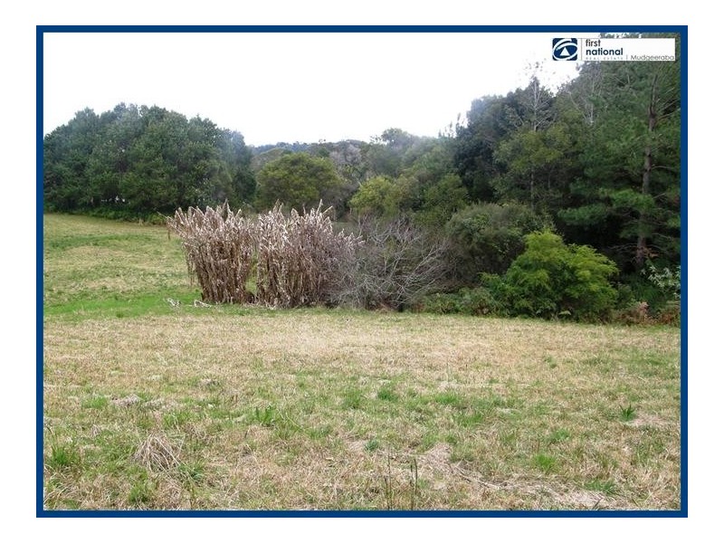 Lot 64, 14 Forestry Road, Springbrook QLD 4213