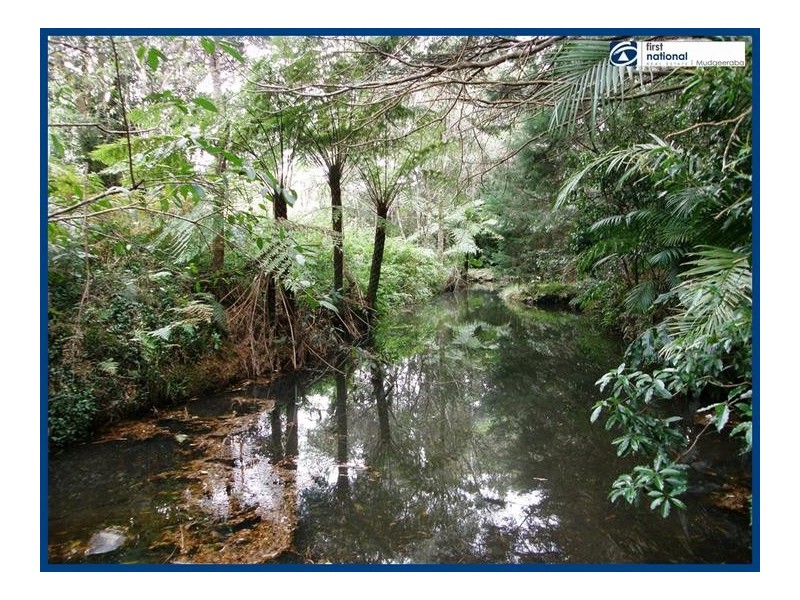 Lot 64, 14 Forestry Road, Springbrook QLD 4213