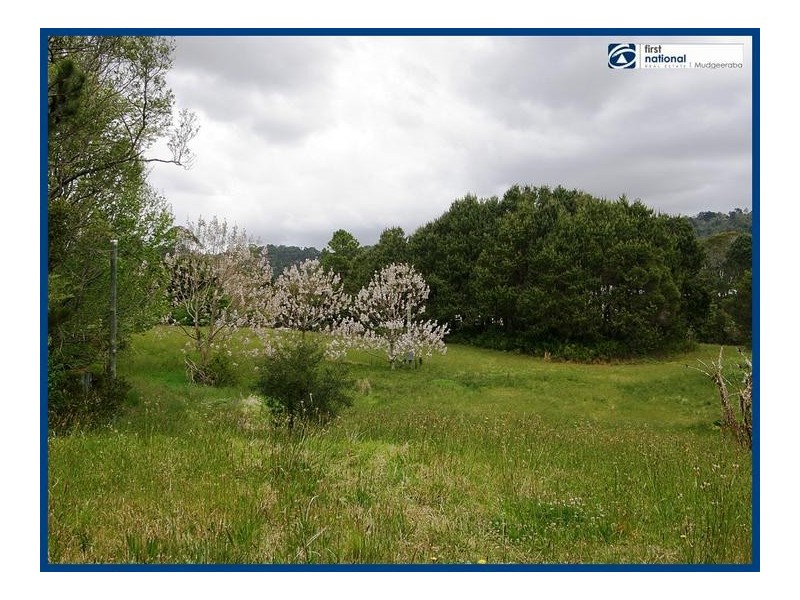 Lot 64, 14 Forestry Road, Springbrook QLD 4213