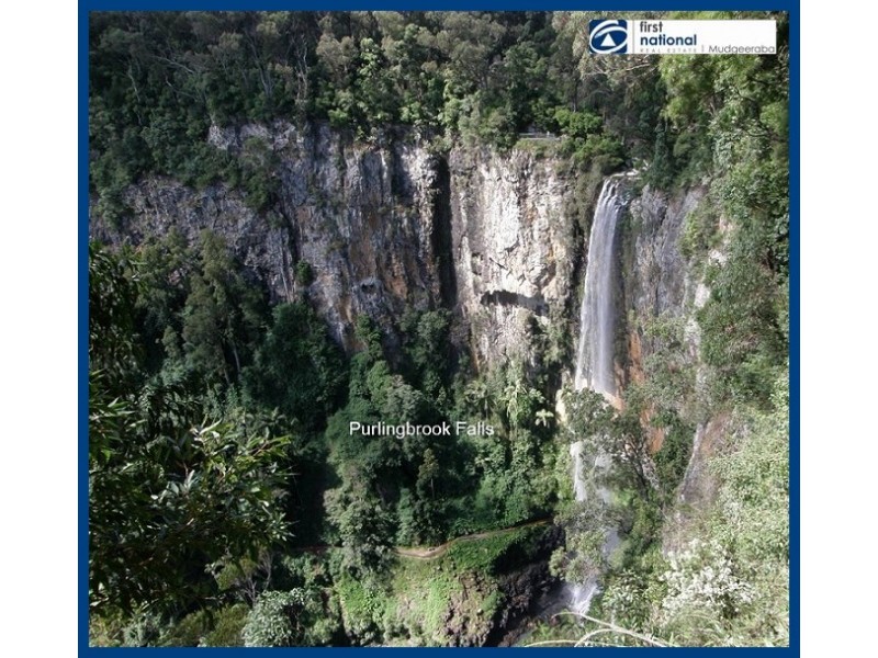 Lot 64, 14 Forestry Road, Springbrook QLD 4213