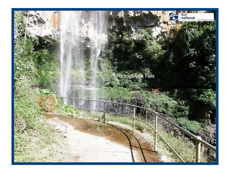 Lot 64, 14 Forestry Road, Springbrook QLD 4213