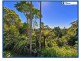 15c Old School Road, Springbrook QLD 4213