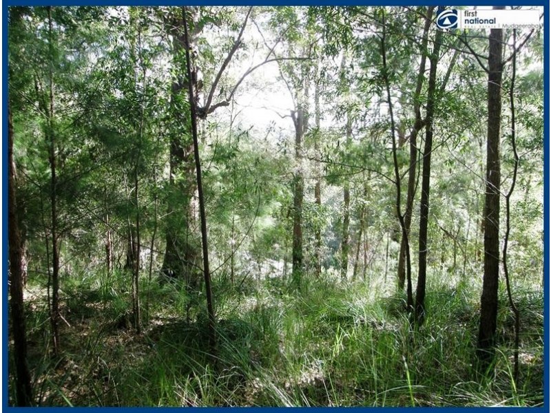 37 Daintree Court, Austinville QLD 4213