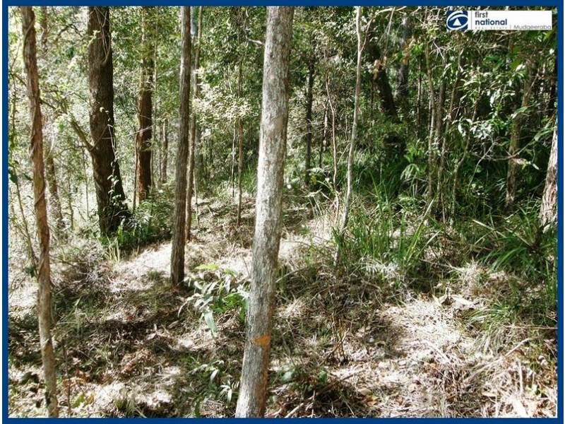 37 Daintree Court, Austinville QLD 4213