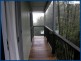 2731 Springbrook Road, Springbrook QLD 4213