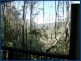 2731 Springbrook Road, Springbrook QLD 4213