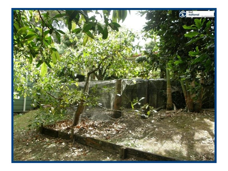 41 Lyrebird Ridge Road, Springbrook QLD 4213