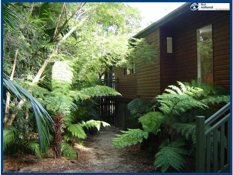2204 Springbrook Road, Springbrook QLD 4213