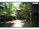 2204 Springbrook Road, Springbrook QLD 4213