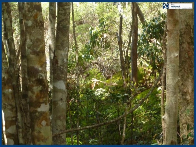 7 Wattle Grove, Springbrook QLD 4213