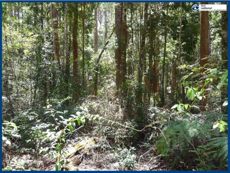 7 Wattle Grove, Springbrook QLD 4213