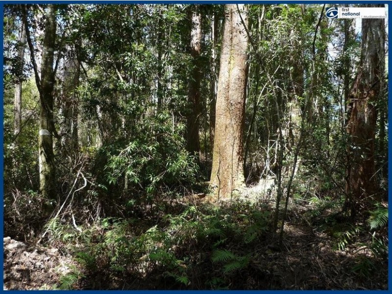 7 Wattle Grove, Springbrook QLD 4213